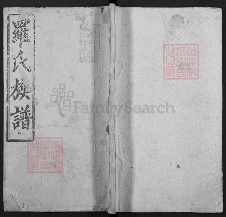 湖南省衡阳市常宁市罗氏孝友堂族谱-罗氏族谱.pdf电子版缩略图