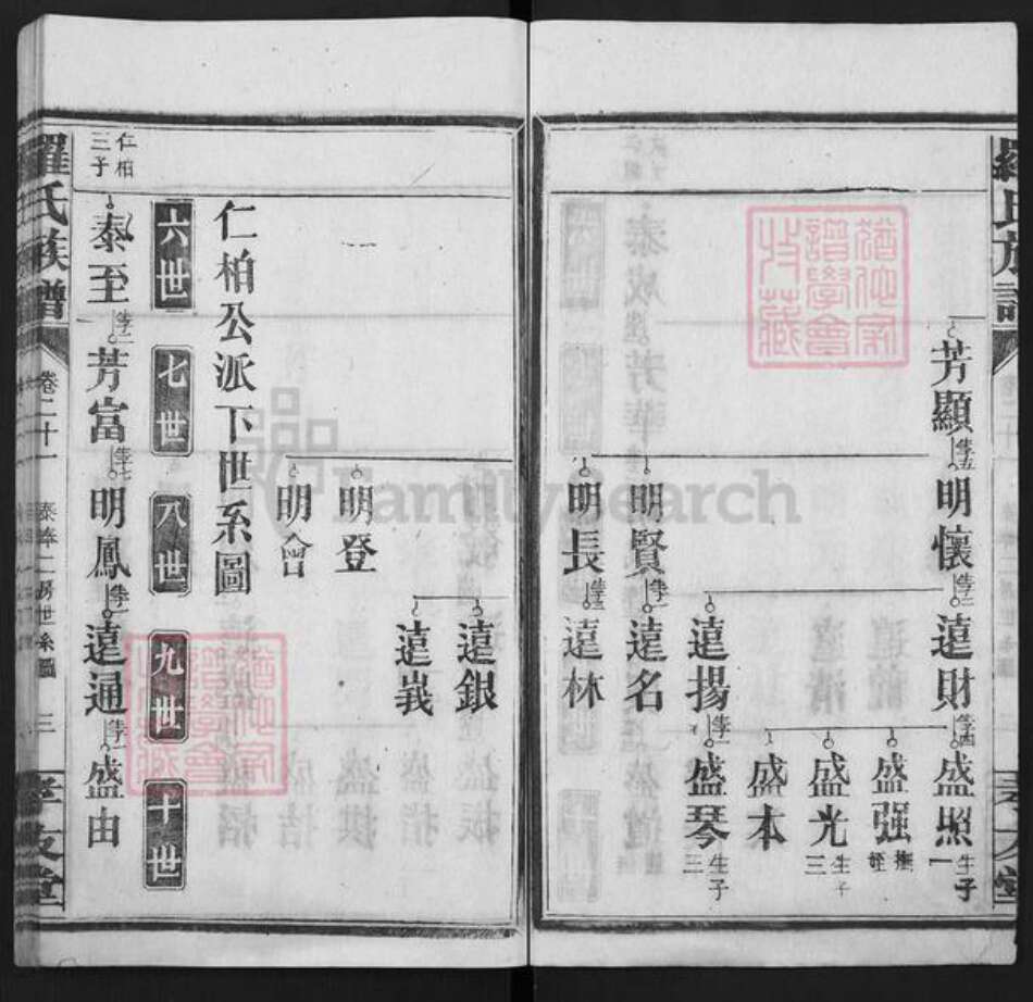 湖南省衡阳市常宁市罗氏孝友堂族谱-罗氏族谱.pdf电子版预览图3