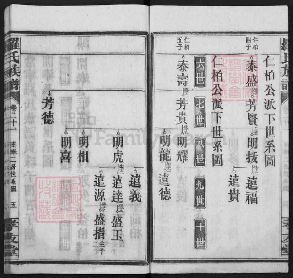 湖南省衡阳市常宁市罗氏孝友堂族谱-罗氏族谱.pdf电子版预览图5