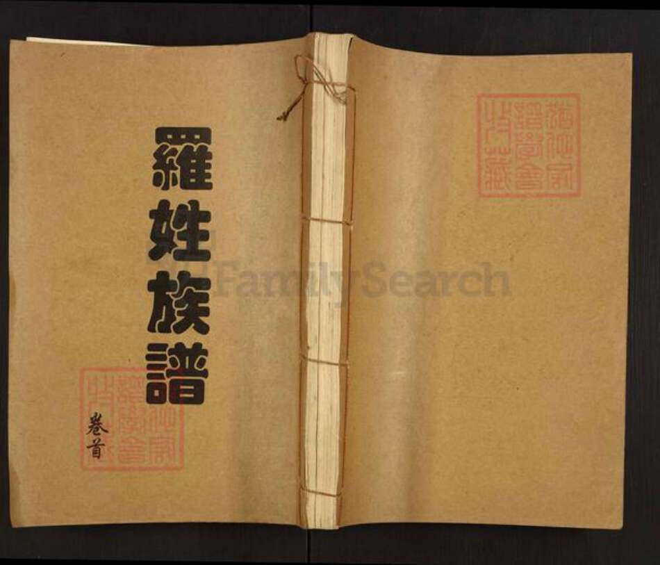 湖南省常德市桃源县罗氏豫章堂族谱-罗姓族谱.pdf电子版缩略图