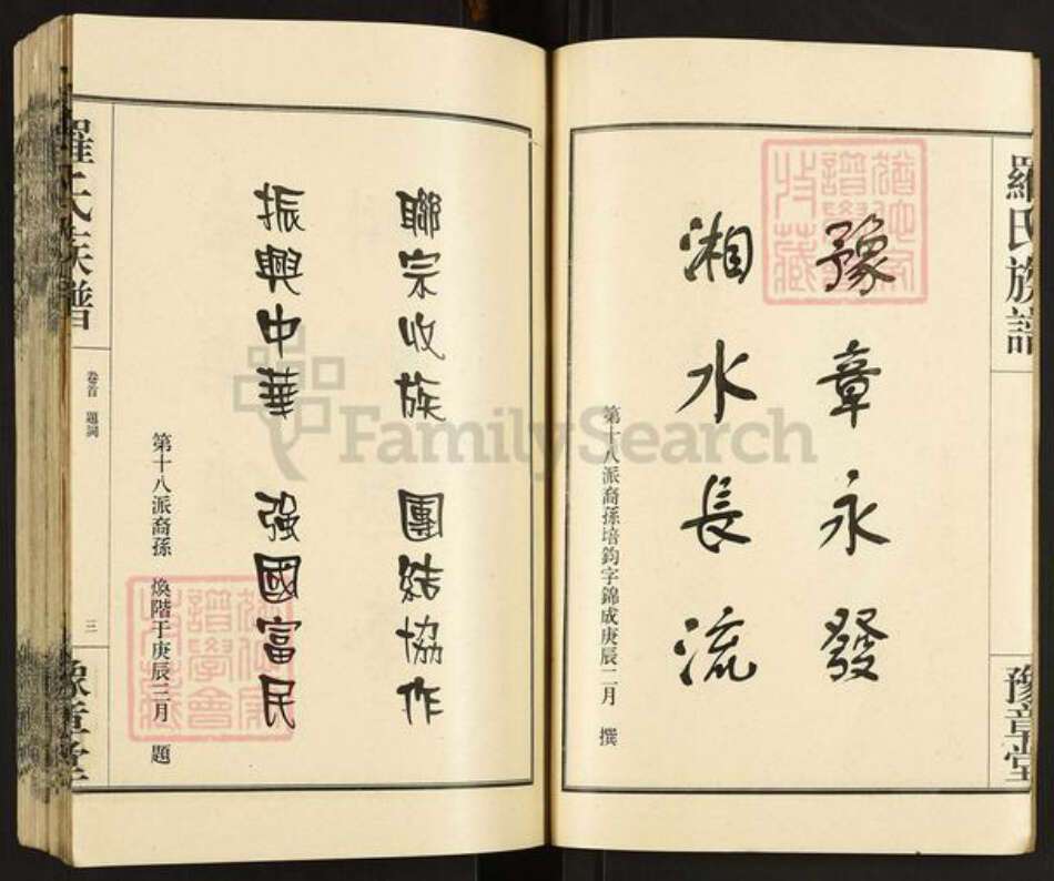 湖南省常德市桃源县罗氏豫章堂族谱-罗姓族谱.pdf电子版预览图5