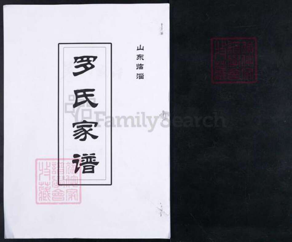 山东省淄博市临淄区朱台镇罗氏族谱-山东临淄罗氏家谱.pdf电子版缩略图