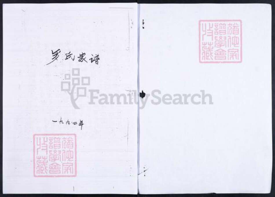 山东省淄博市临淄区朱台镇罗氏族谱-山东临淄罗氏家谱.pdf电子版预览图1