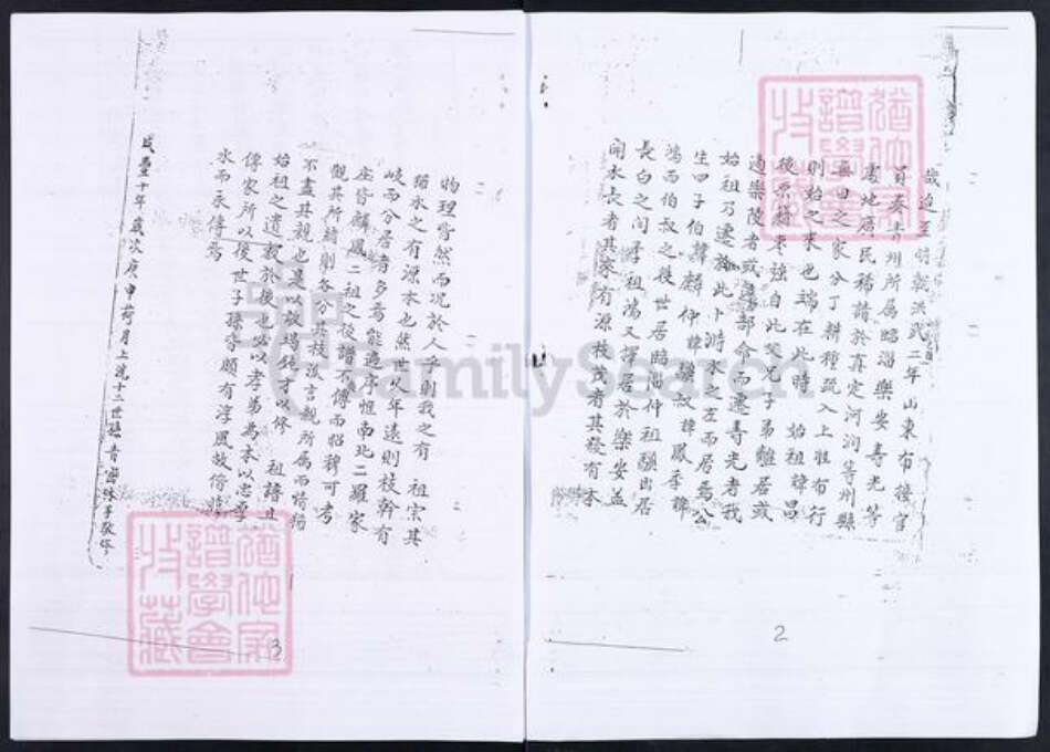 山东省淄博市临淄区朱台镇罗氏族谱-山东临淄罗氏家谱.pdf电子版预览图2