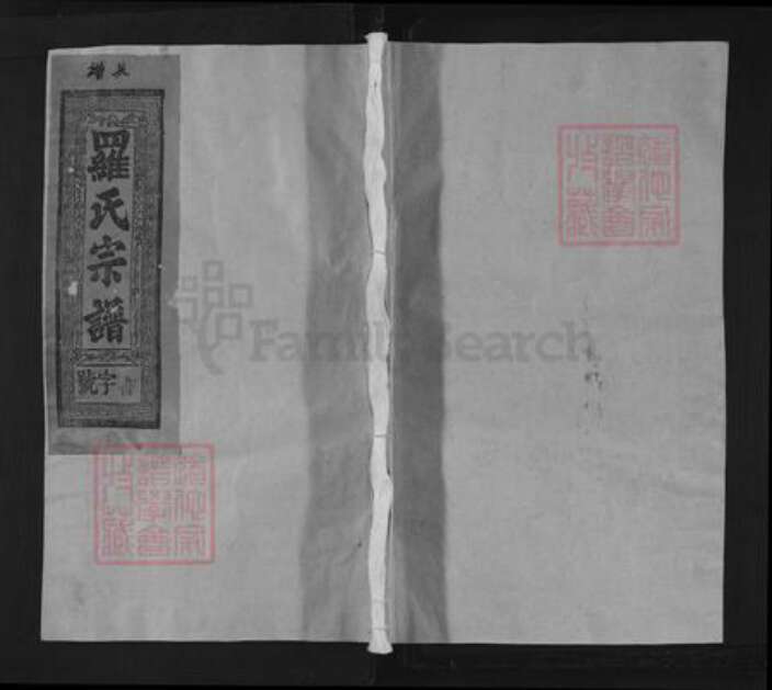 江西省上饶市上饶县罗氏族谱-豫章罗氏宗谱.pdf电子版缩略图