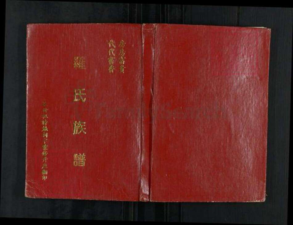 广东省惠州市惠阳区罗氏报本堂族谱-罗氏族谱.pdf电子版缩略图