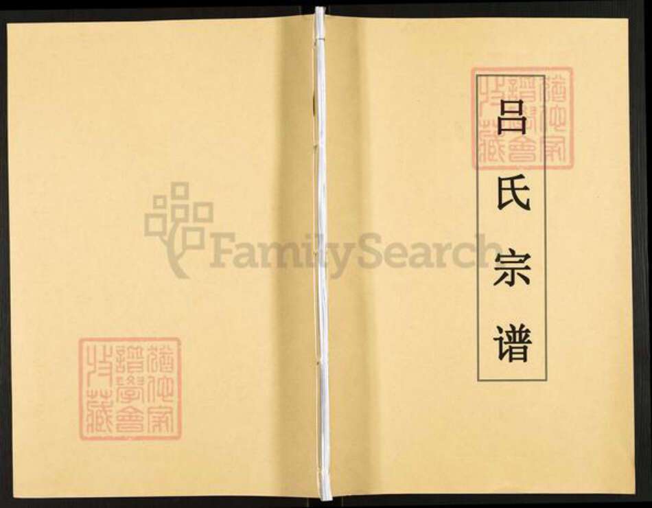 云南省昭通市绥江县吕氏族谱-吕氏宗谱.pdf电子版缩略图