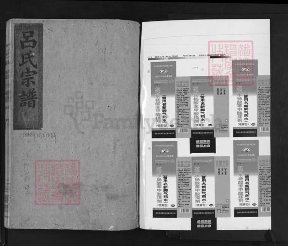 广西壮族自治区桂林市吕氏敦本堂族谱-吕氏宗谱.pdf电子版预览图1