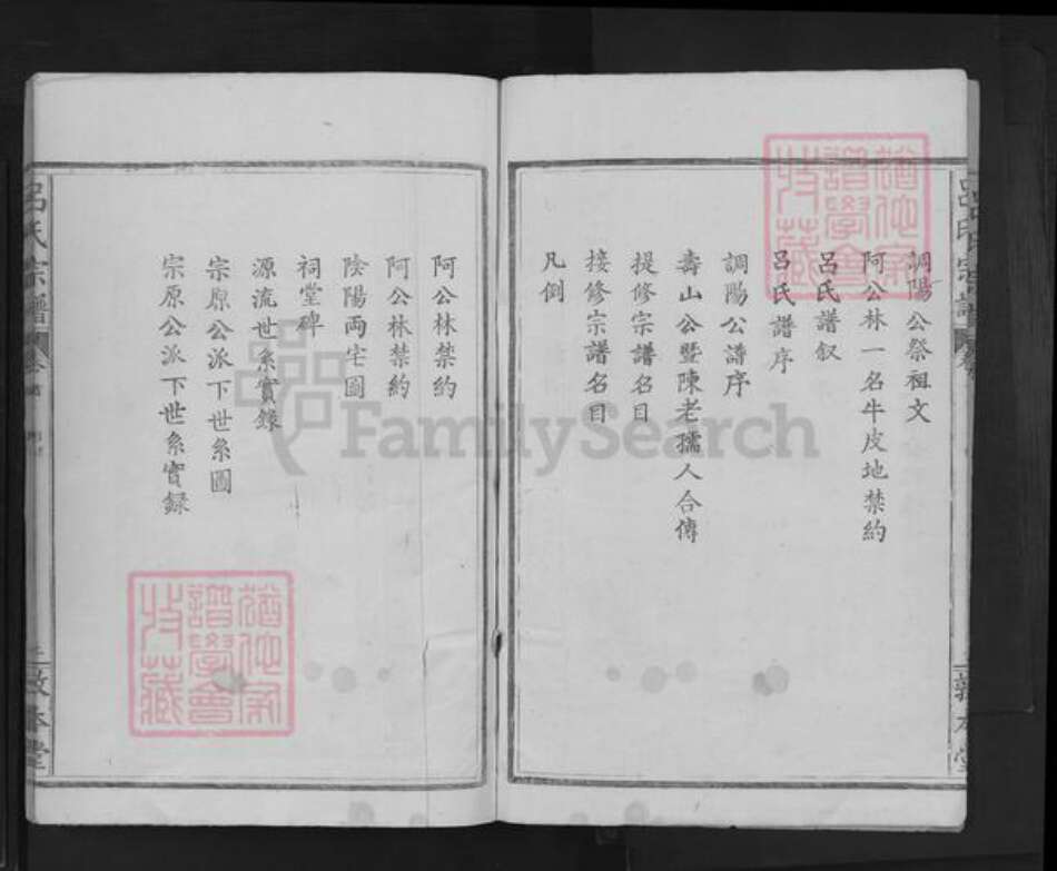 广西壮族自治区桂林市吕氏敦本堂族谱-吕氏宗谱.pdf电子版预览图3