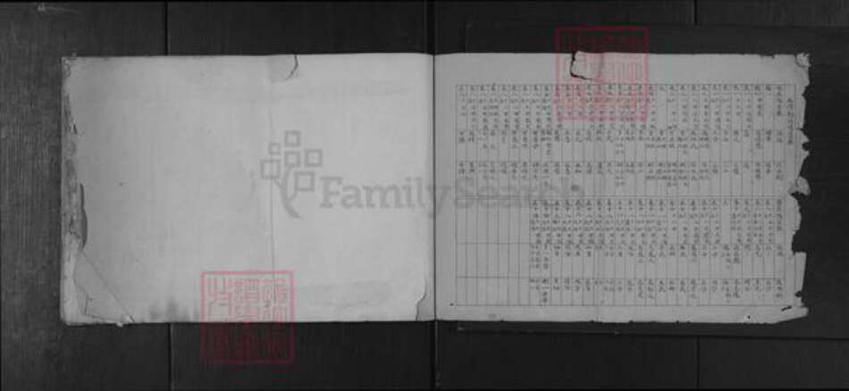 湖北省黄冈市浠水县巴河镇吕氏族谱-吕氏宗谱.pdf电子版预览图1