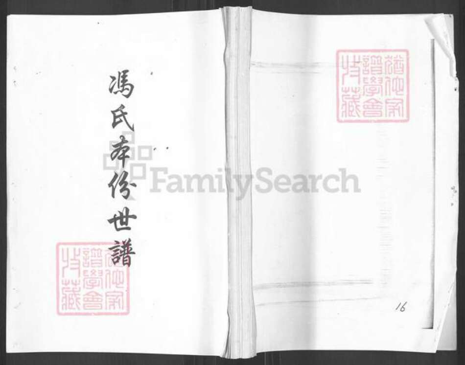 山东省烟台市栖霞市吕氏族谱-吕氏家乘第一大支.pdf电子版缩略图