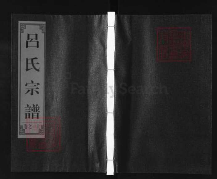 浙江省丽水市缙云县吕氏族谱-吕氏宗谱.pdf电子版缩略图