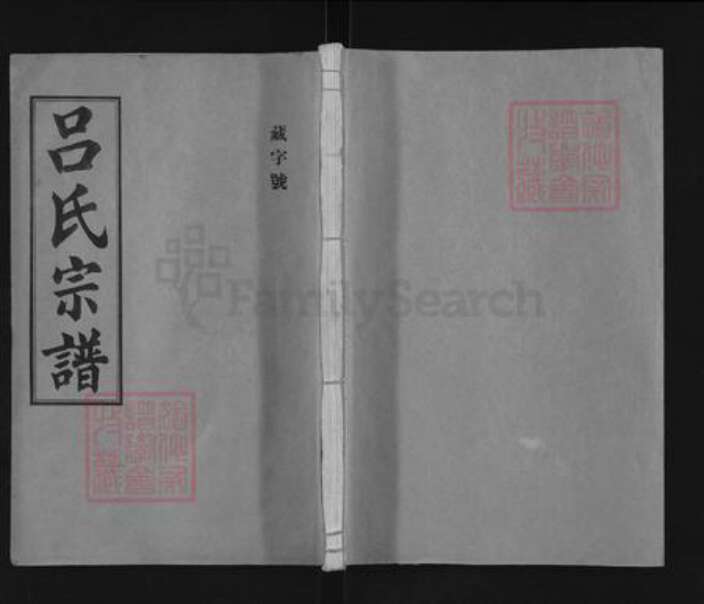 福建省龙岩市漳平市永福镇吕氏族谱-河东吕氏宗谱.pdf电子版缩略图