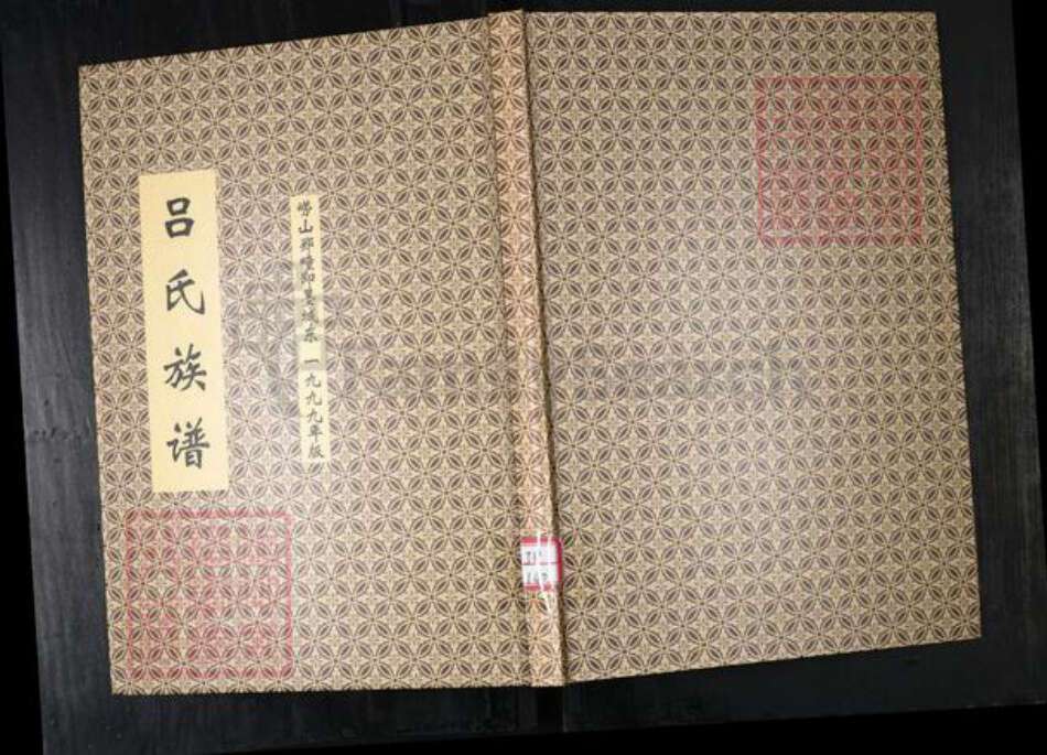 山东省青岛市崂山区吕氏族谱-吕氏族谱.崂山郑疃即墨城东.pdf电子版缩略图