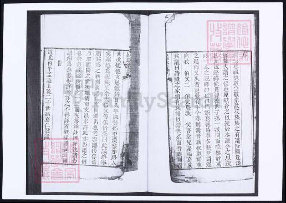 山东省青岛市即墨区吕氏族谱-南窝洛子吕氏族谱.pdf电子版预览图3