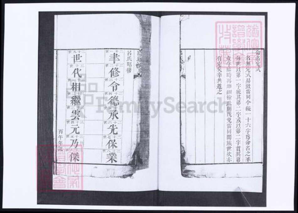 山东省青岛市即墨区吕氏族谱-南窝洛子吕氏族谱.pdf电子版预览图4