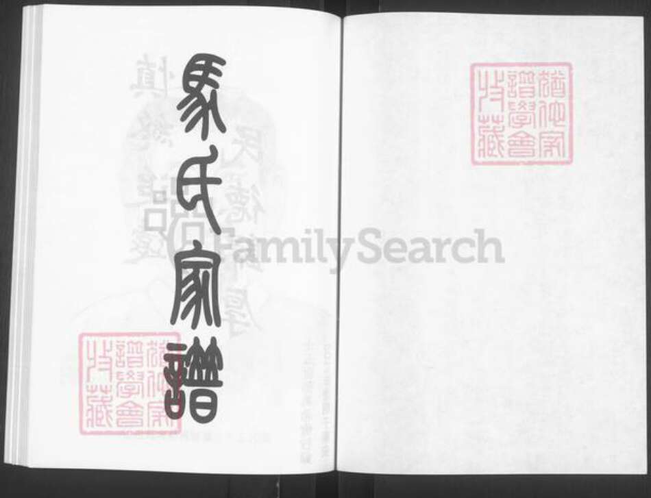 山东省泰安市宁阳县蒋集镇马氏族谱-马氏家谱.pdf电子版预览图1