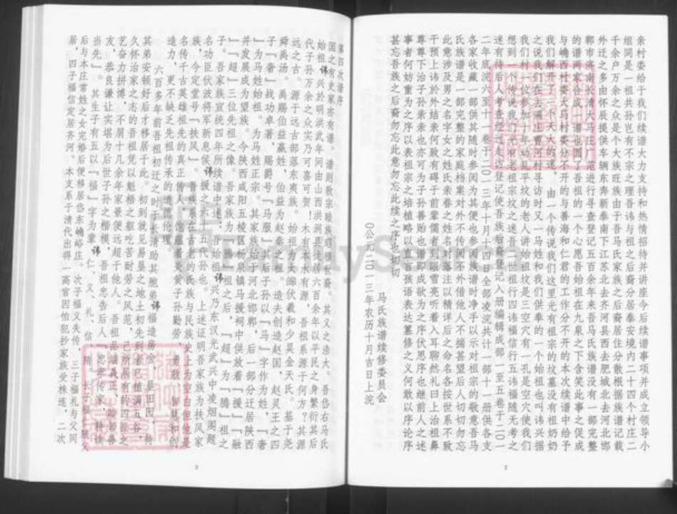 山东省泰安市宁阳县蒋集镇马氏族谱-马氏家谱.pdf电子版预览图4