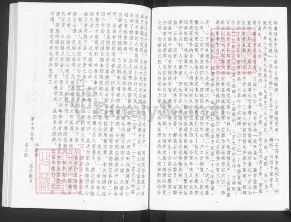 山东省泰安市宁阳县蒋集镇马氏族谱-马氏家谱.pdf电子版预览图5