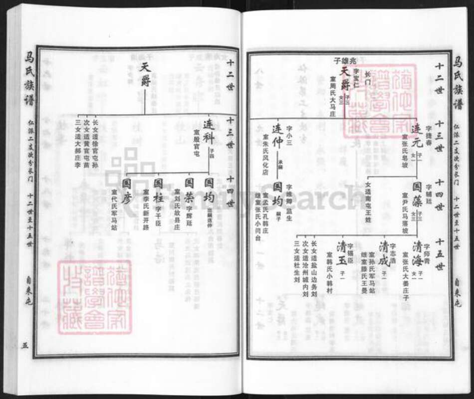 河北省沧州沧县张官屯乡马氏族谱-马氏族谱.pdf电子版预览图5