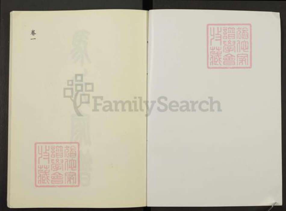 山东省泰安市岱岳区马氏族谱-马氏家谱.pdf电子版预览图1