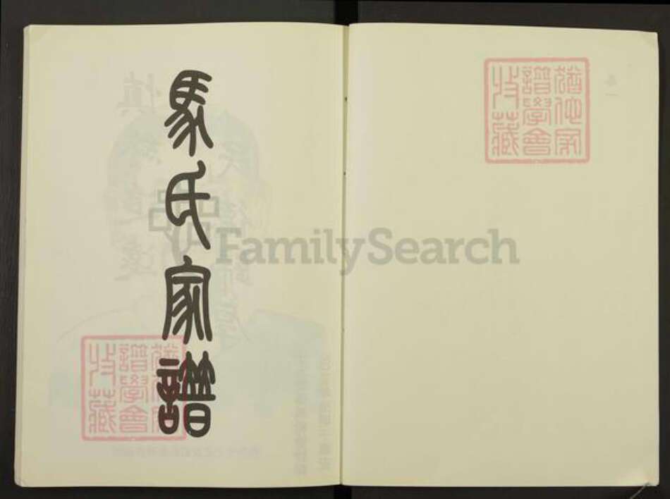 山东省泰安市岱岳区马氏族谱-马氏家谱.pdf电子版预览图2