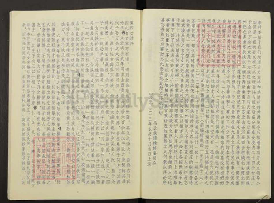 山东省泰安市岱岳区马氏族谱-马氏家谱.pdf电子版预览图5