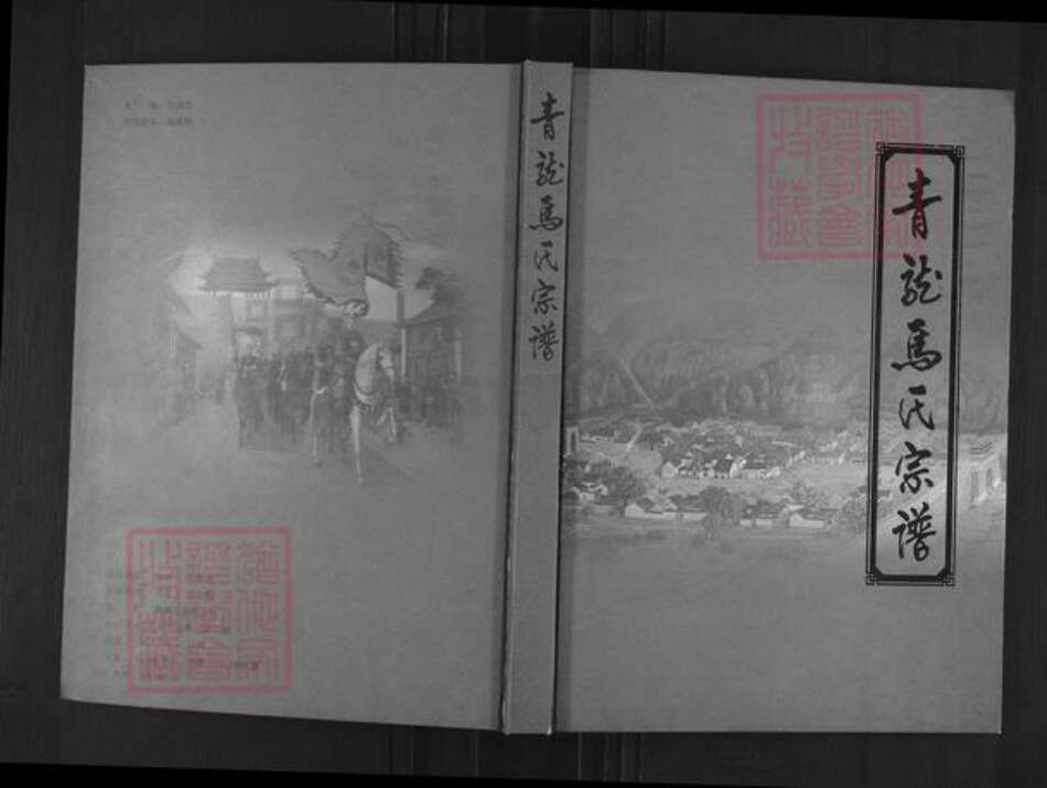 山西省吕梁市柳林县柳林镇马氏族谱-青龙马氏宗谱.pdf电子版缩略图