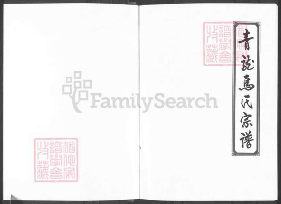 山西省吕梁市柳林县柳林镇马氏族谱-青龙马氏宗谱.pdf电子版预览图1