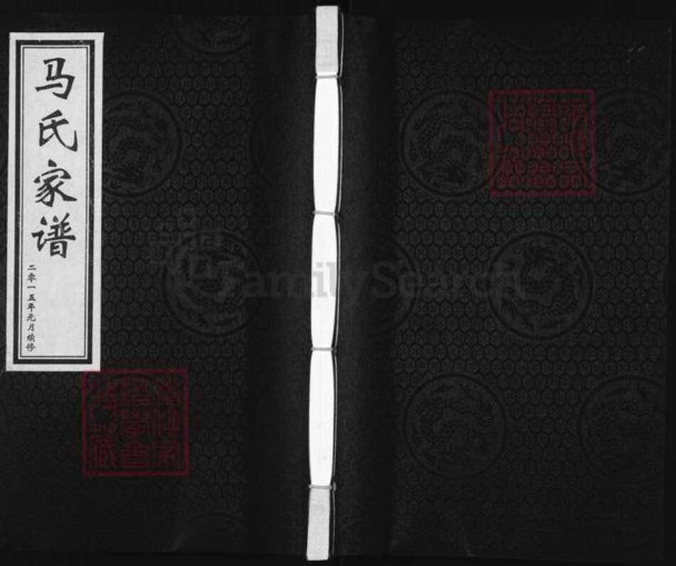 河北省沧州南皮县寨子镇马氏族谱-马氏家谱.pdf电子版缩略图