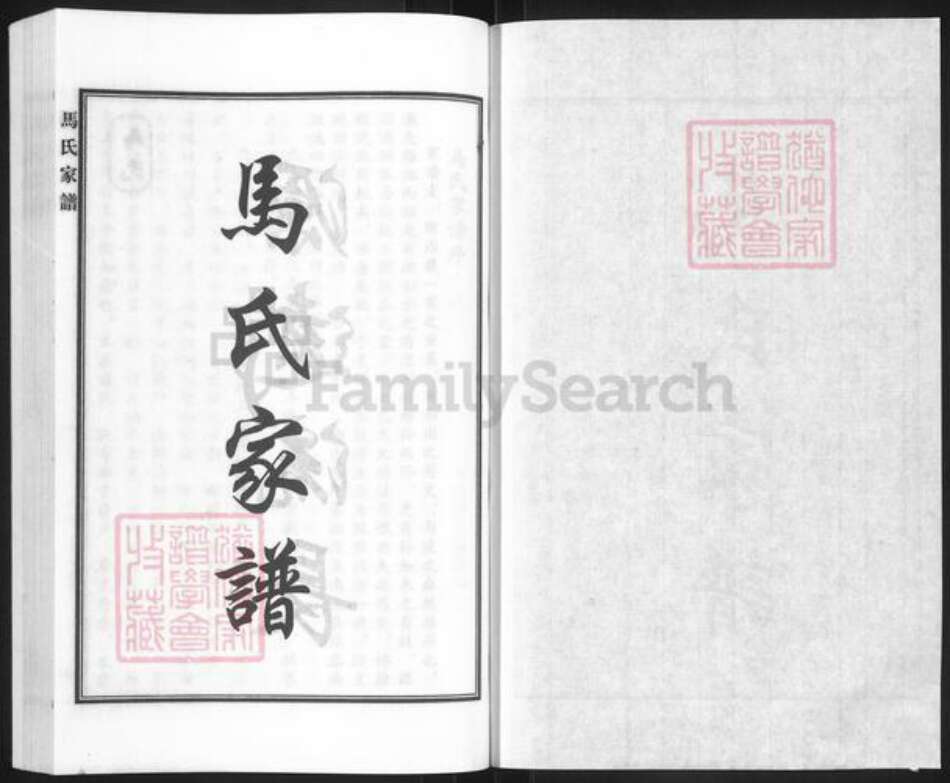 河北省沧州南皮县寨子镇马氏族谱-马氏家谱.pdf电子版预览图1