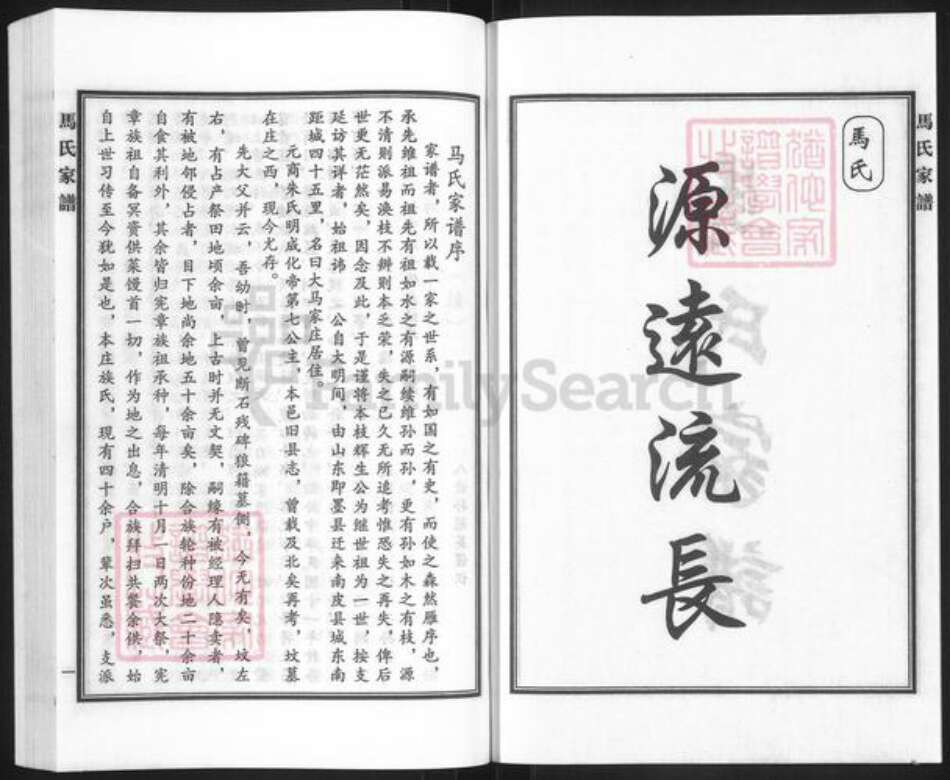 河北省沧州南皮县寨子镇马氏族谱-马氏家谱.pdf电子版预览图2