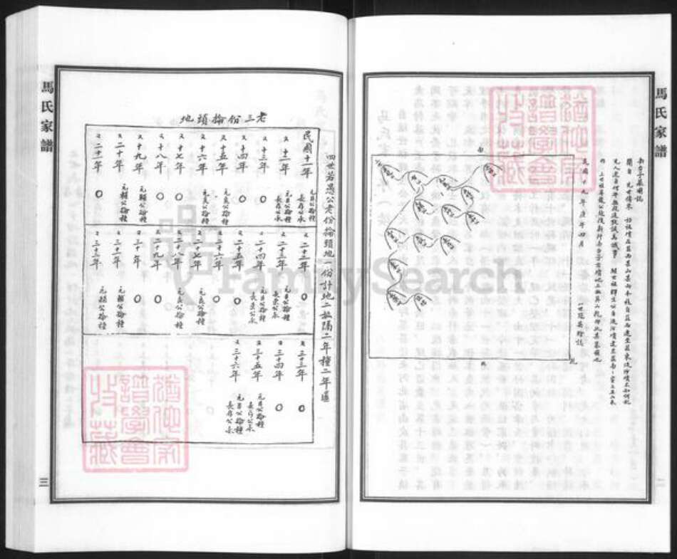 河北省沧州南皮县寨子镇马氏族谱-马氏家谱.pdf电子版预览图4