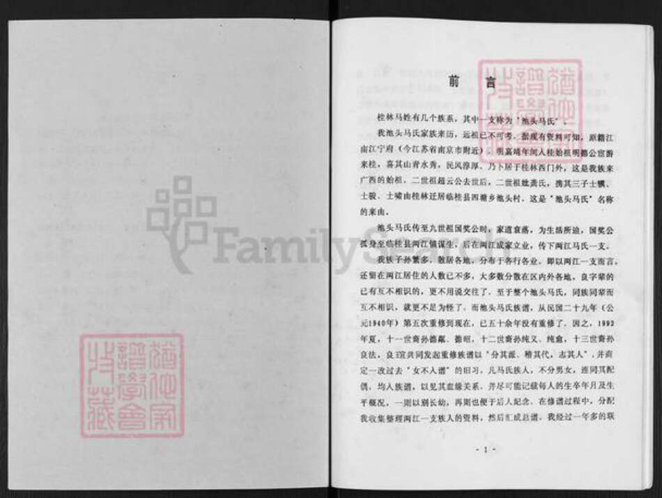 广西壮族自治区桂林市临桂区两江镇马氏族谱-桂林池头马氏两江分支族谱.pdf电子版预览图1