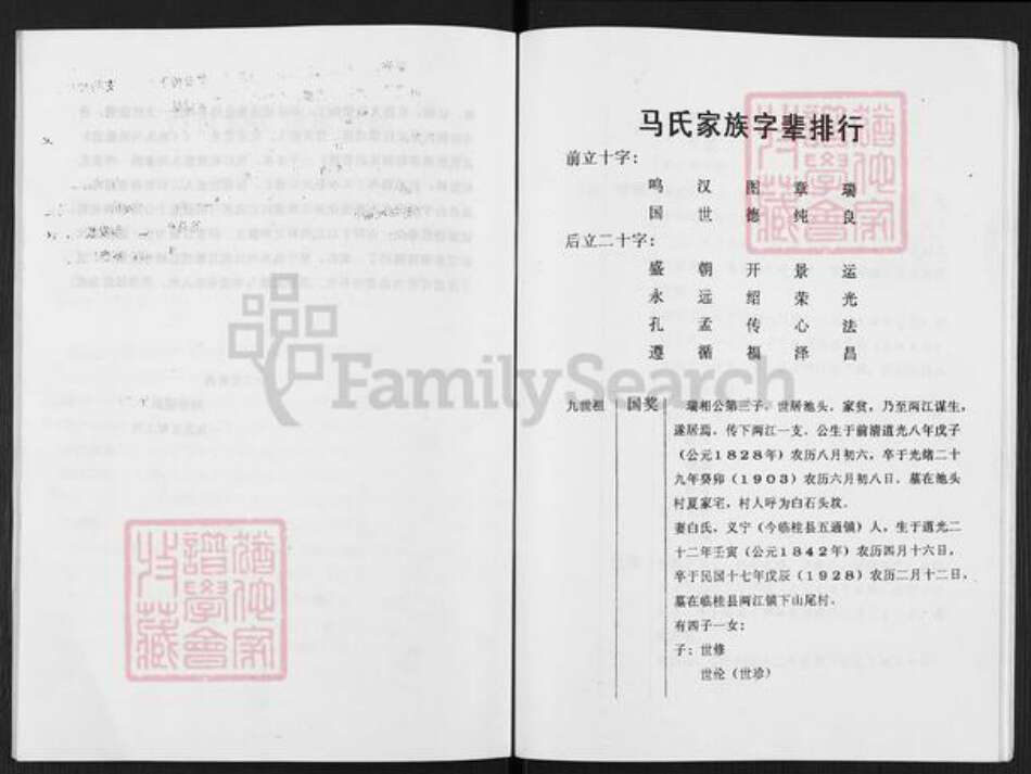 广西壮族自治区桂林市临桂区两江镇马氏族谱-桂林池头马氏两江分支族谱.pdf电子版预览图3