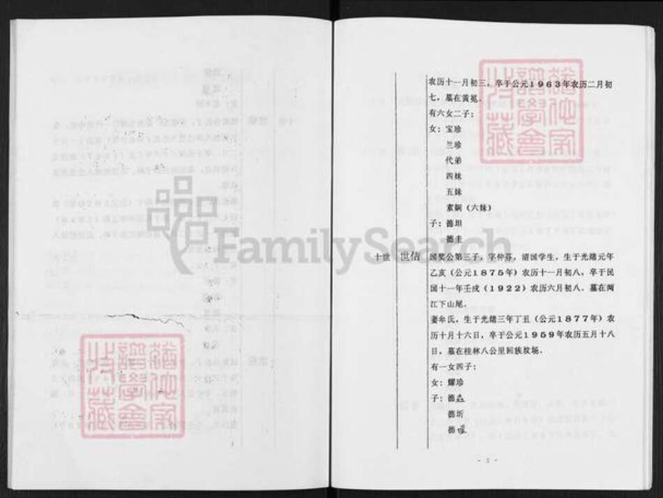 广西壮族自治区桂林市临桂区两江镇马氏族谱-桂林池头马氏两江分支族谱.pdf电子版预览图5