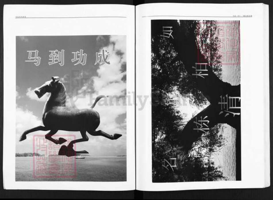 甘肃省武威民勤马氏族谱-马氏清宗谱.pdf电子版预览图2