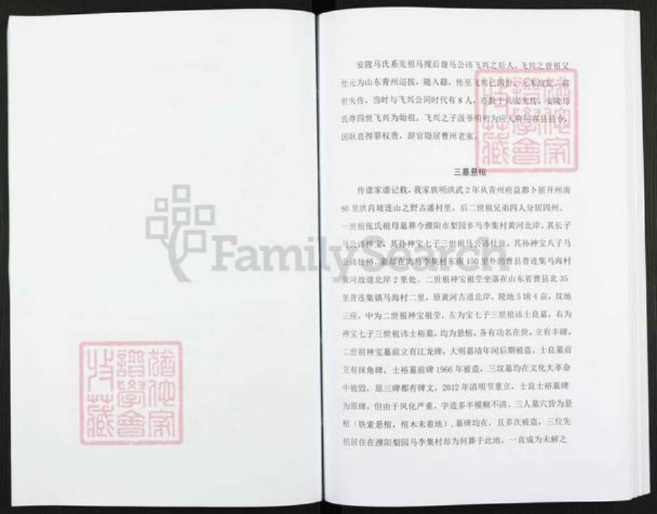 河南省濮阳市华龙区马氏族谱-开濮曹徐马氏家谱轶事.pdf电子版预览图2