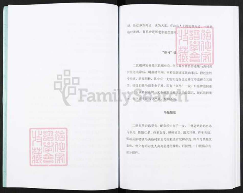 河南省濮阳市华龙区马氏族谱-开濮曹徐马氏家谱轶事.pdf电子版预览图3