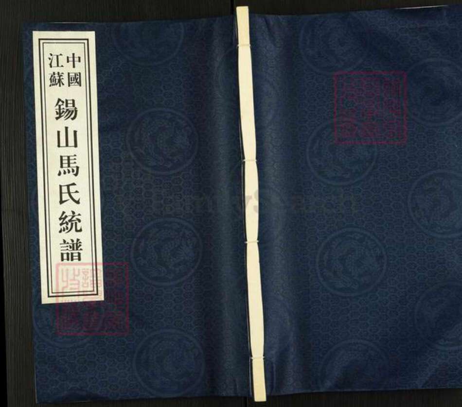 江苏省无锡市锡山区鹅湖镇马氏忠孝堂族谱-锡山马氏统谱.pdf电子版缩略图