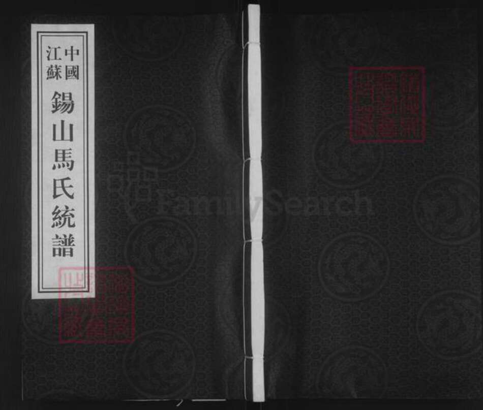 江苏省无锡市锡山区鹅湖镇马氏忠孝堂族谱-马氏统谱.锡山马氏延祥乡支蔡湾派.pdf电子版缩略图