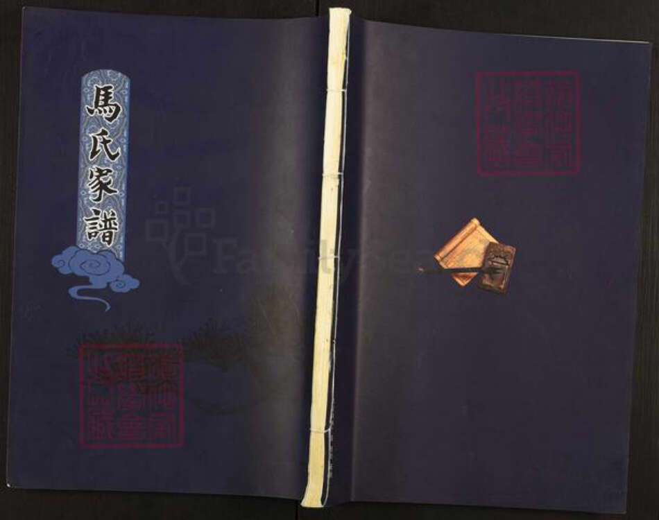 山东省泰安市新泰市宫里镇马氏扶风堂族谱-马氏家谱.pdf电子版缩略图