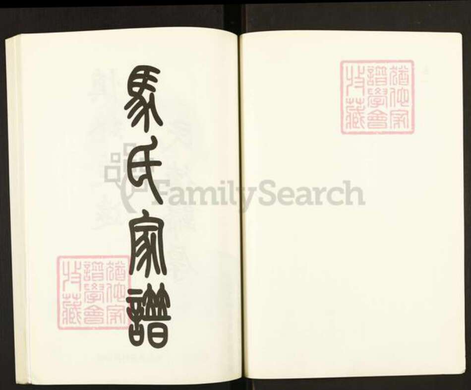 山东省泰安市新泰市宫里镇马氏扶风堂族谱-马氏家谱.pdf电子版预览图2