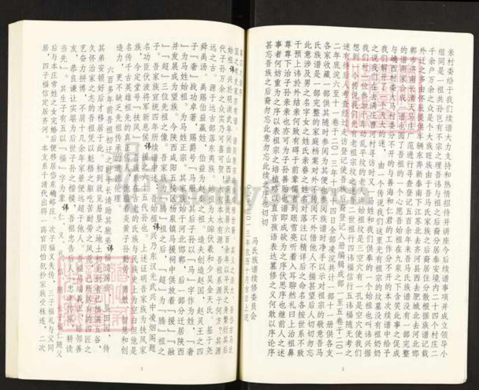 山东省泰安市新泰市宫里镇马氏扶风堂族谱-马氏家谱.pdf电子版预览图5