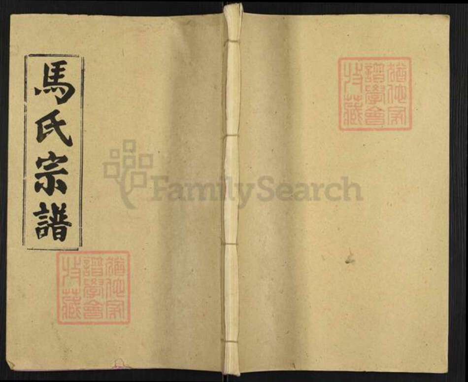 湖北省仙桃市马氏绛帐堂族谱-马氏宗谱.pdf电子版缩略图