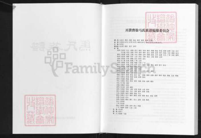 河南省濮阳市濮阳县梨园乡马氏扶风堂族谱-开濮曹徐马氏族谱.pdf电子版预览图2