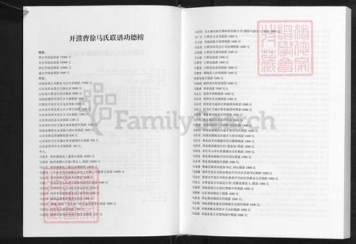 河南省濮阳市濮阳县梨园乡马氏扶风堂族谱-开濮曹徐马氏族谱.pdf电子版预览图3