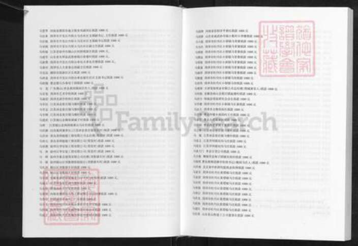 河南省濮阳市濮阳县梨园乡马氏扶风堂族谱-开濮曹徐马氏族谱.pdf电子版预览图4