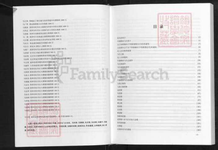 河南省濮阳市濮阳县梨园乡马氏扶风堂族谱-开濮曹徐马氏族谱.pdf电子版预览图5