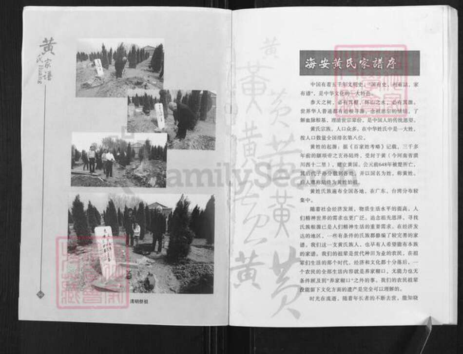 江苏省南通市海安市西城街道马氏族谱-海安马氏家谱.pdf电子版预览图1